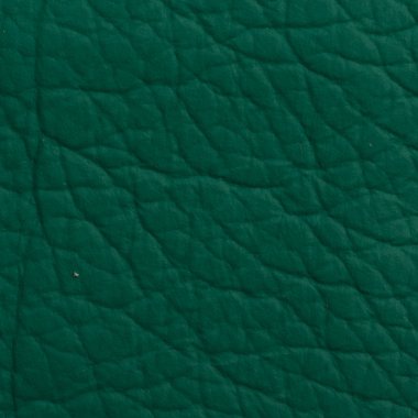 arkaplan için deri dokusu