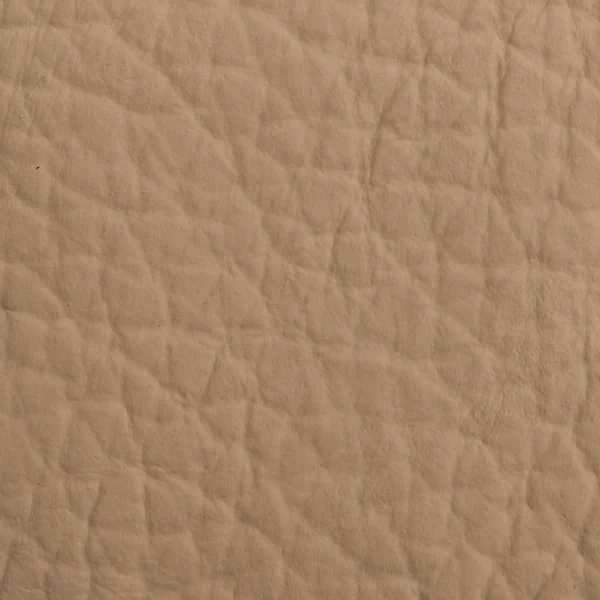 Textura din piele pentru fundal — Fotografie, imagine de stoc