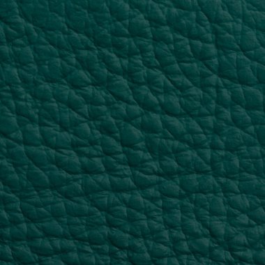 arkaplan için deri dokusu