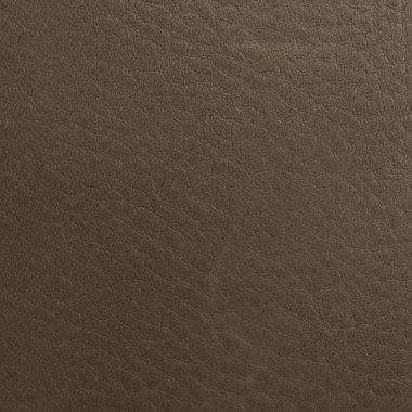arkaplan için deri dokusu