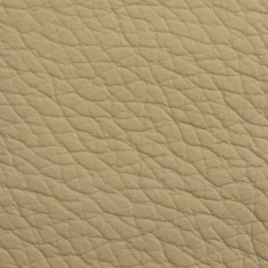 arkaplan için deri dokusu