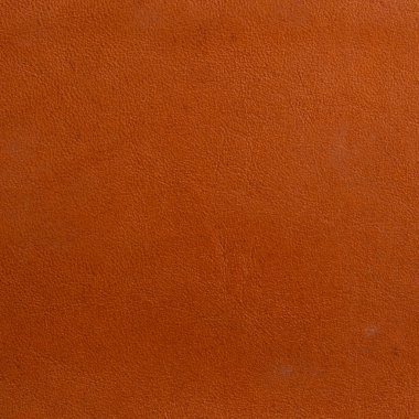 arkaplan için deri dokusu