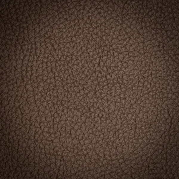 Leather texture macro shot — Stock Photo, Image