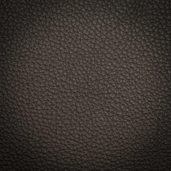 Leather texture macro shot — Stock Photo, Image