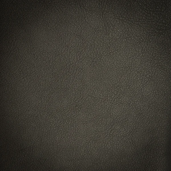 Leather macro shot — Stock Photo, Image