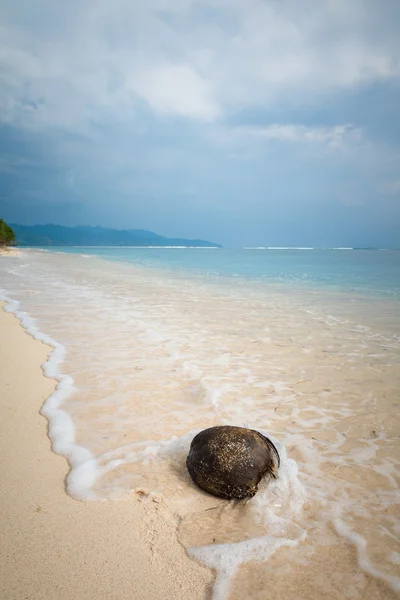 Кокосовый орех на пляже — стоковое фото
