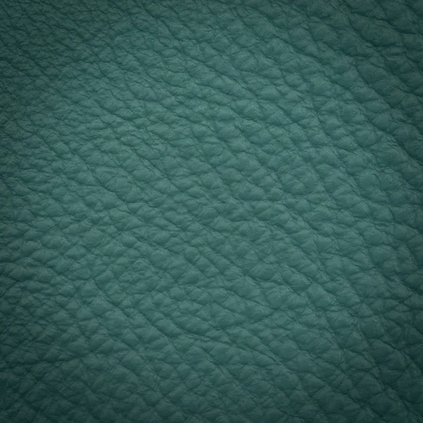 Grünes Leder Makroschuss — Stockfoto