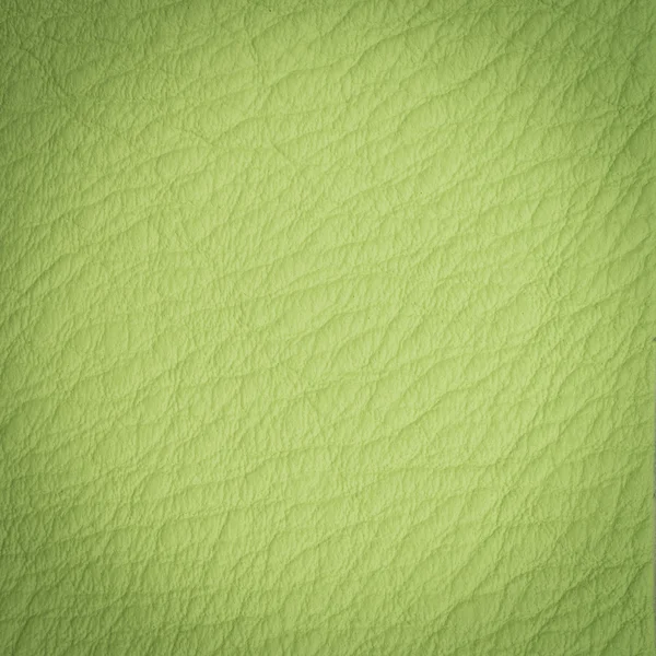 Tiro macro de cuero verde —  Fotos de Stock