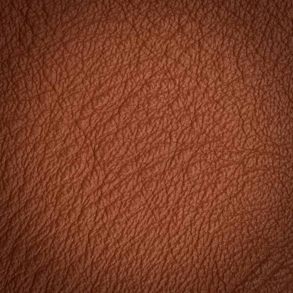 Leather macro shot — Stock Photo, Image