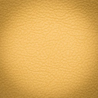 Sarı deri makro çekim