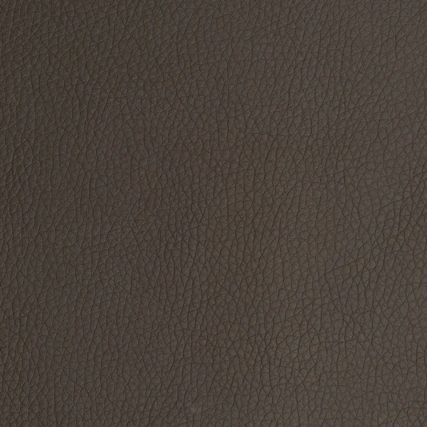 Leather macro shot — Stock Photo, Image