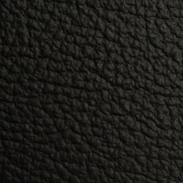 Leather macro shot — Stock Photo, Image