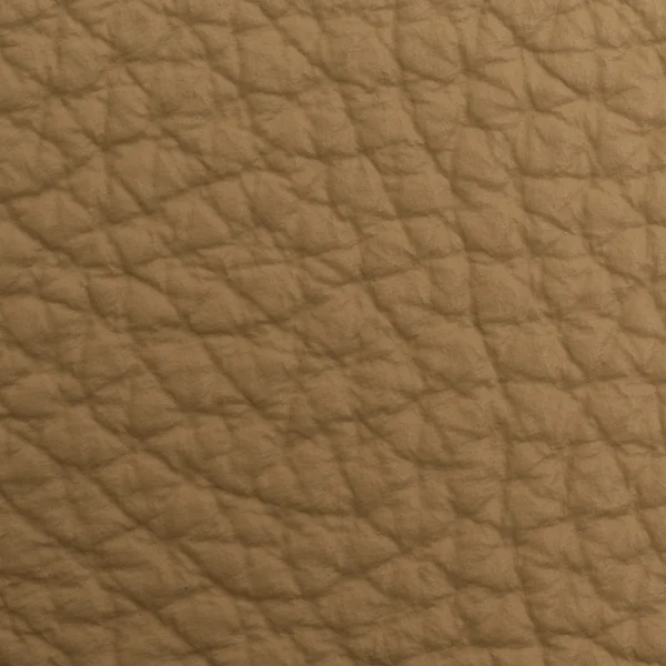 Leather macro shot — Stock Photo, Image