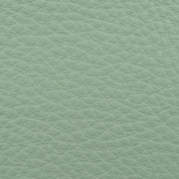 Grönt läder textur makro skott — Stockfoto