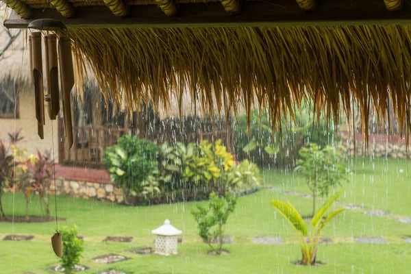 Despejando chuva tropical — Fotografia de Stock