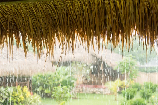 Pouring tropical rain — Stock Photo, Image