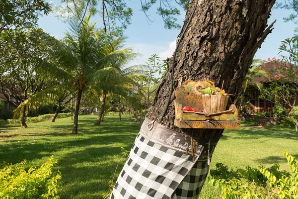 Ofertas tradicionais em Bali — Fotografia de Stock