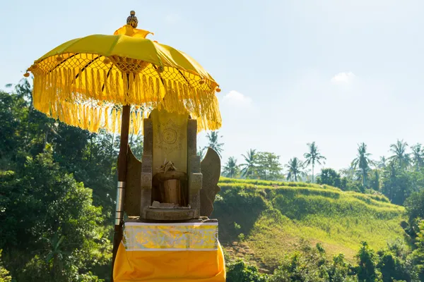 Traditionelle Angebote auf Bali — Stockfoto
