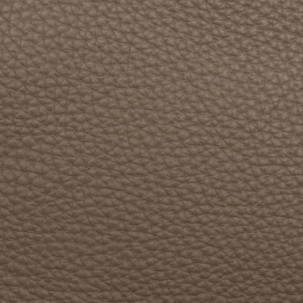 Leather macro shot — Stock Photo, Image