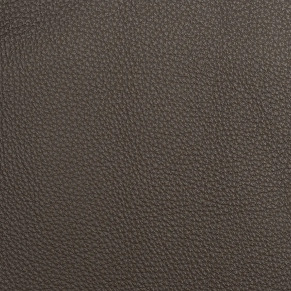 Leather macro shot — Stock Photo, Image