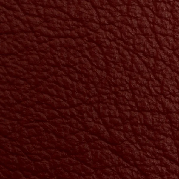 Leather macro shot — Stock Photo, Image