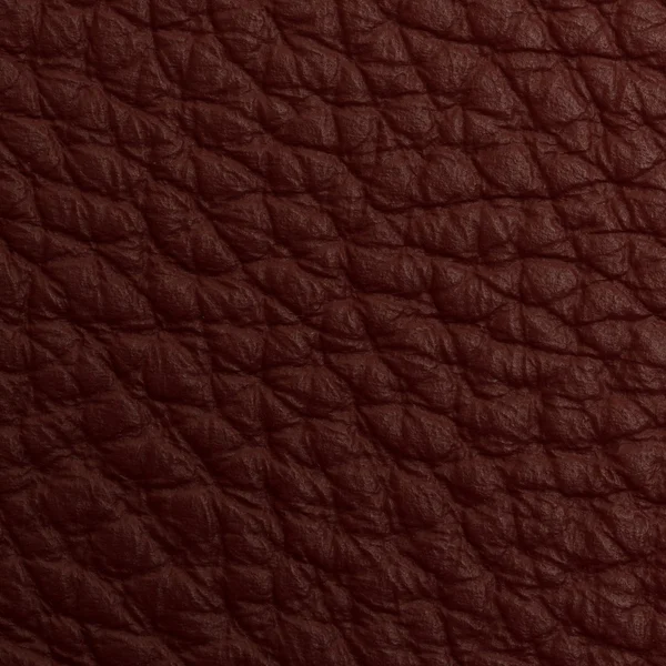 Leather macro shot — Stock Photo, Image