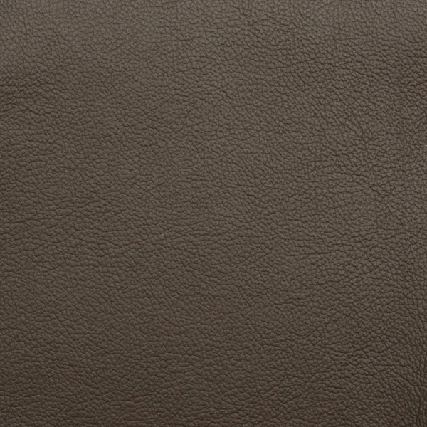 Leather macro shot — Stock Photo, Image