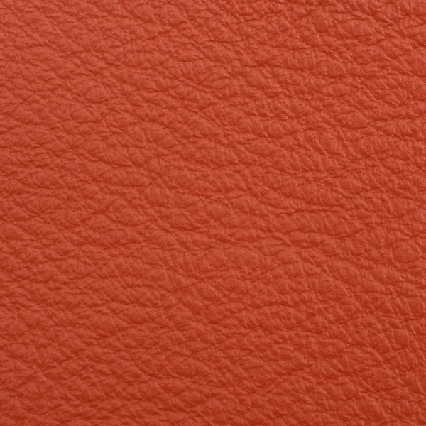 Leather macro shot — Stock Photo, Image