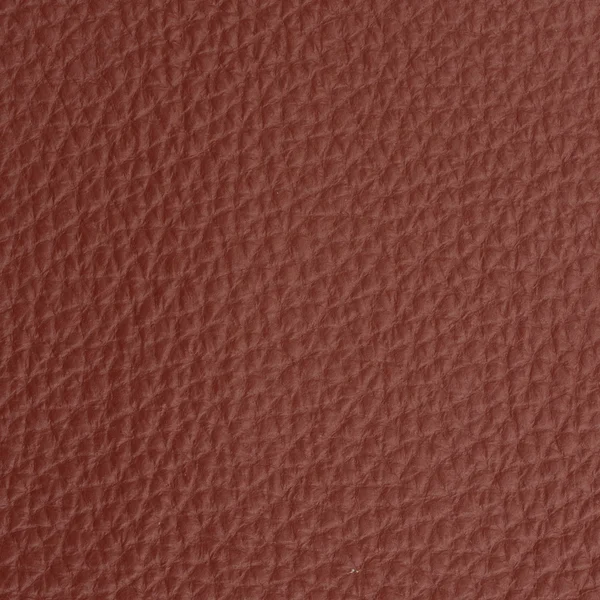 Leather macro shot — Stock Photo, Image