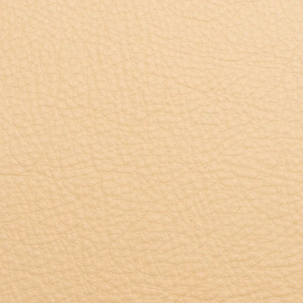 Leather macro shot — Stock Photo, Image