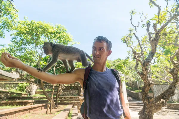 Turist besleyen maymun — Stok fotoğraf