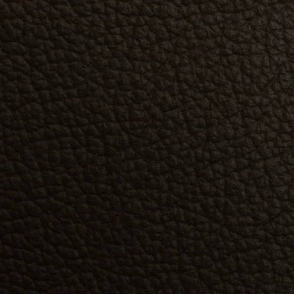 Leather macro shot — Stock Photo, Image