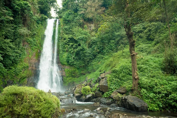 Vodopád v bali jungle — Stock fotografie