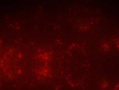 Hayali fraktal arkaplan resmi