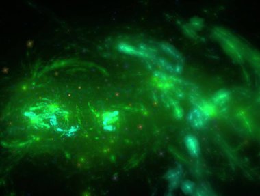 Hayali fraktal arkaplan resmi