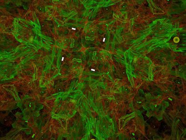 Hayali fraktal arkaplan resmi