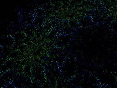 Hayali fraktal arkaplan resmi