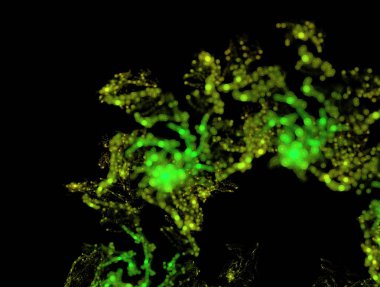 Hayali fraktal arkaplan resmi