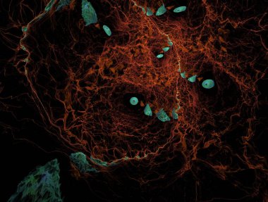 Hayali fraktal arkaplan resmi