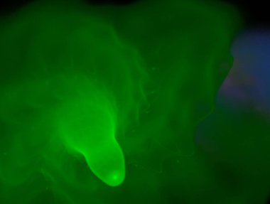 Hayali fraktal arkaplan resmi