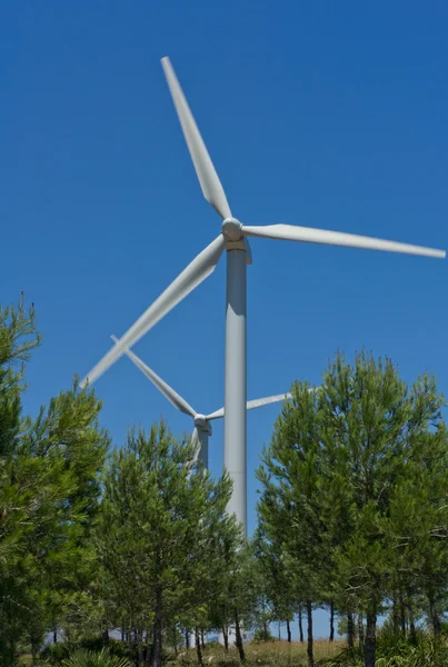 Windmühlen — Stockfoto