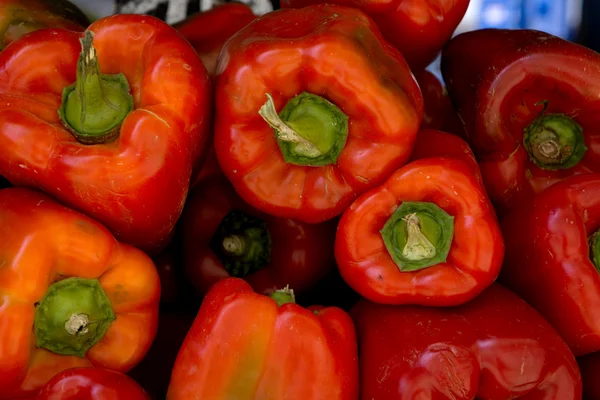 Red peppers — Stock Photo, Image