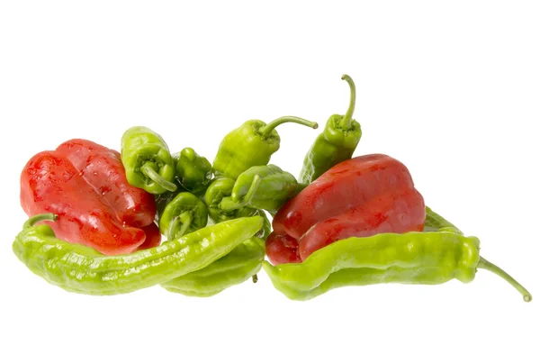 Peppers — Stock Photo, Image