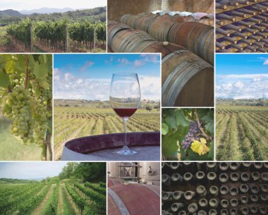 Vineyards and Wineries clipart