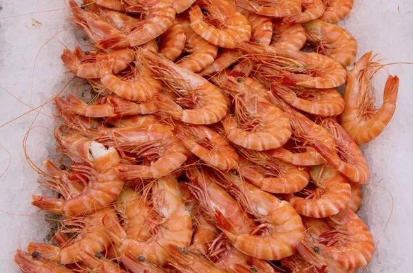 Prawns — Stock Photo, Image