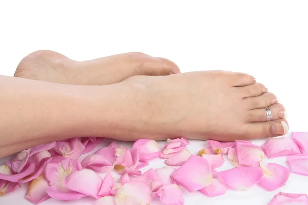 女性的脚与玫瑰花瓣在白色背景 — 图库照片