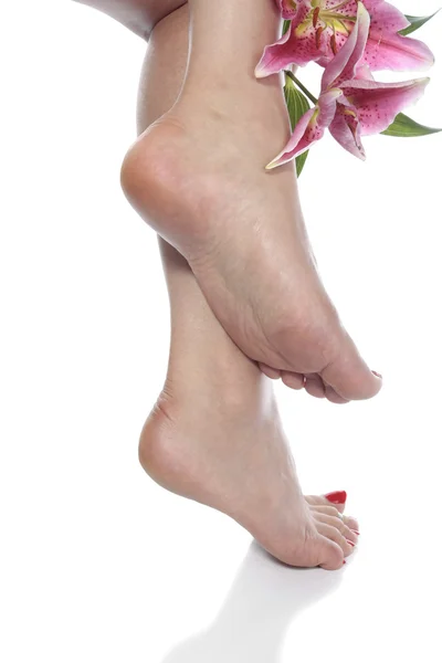 Female feet and flowers over white background — Stock Photo, Image