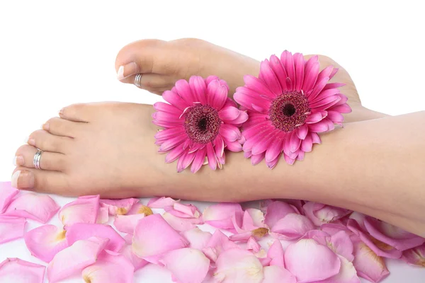 Piedi femminili e fiori su sfondo bianco — Foto Stock