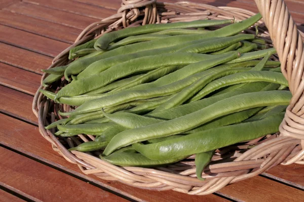 Grüne Bohnen auf dem Gartentisch — Stockfoto