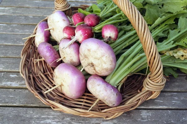 Vruchtenmengsels op mand buitenshuis — Stockfoto